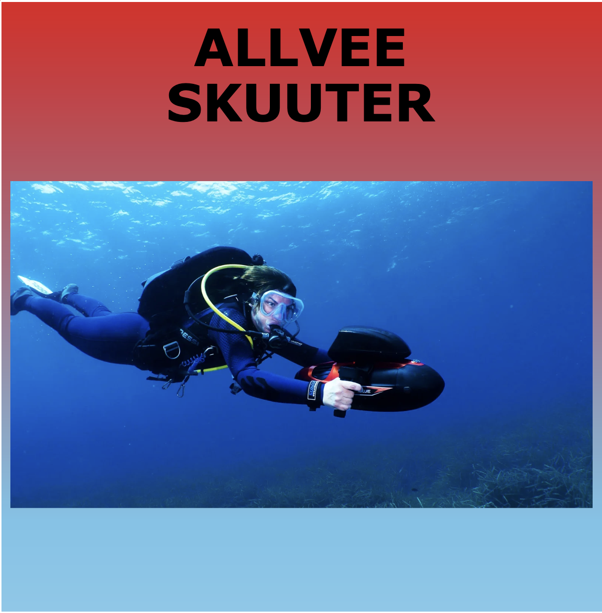 Vaata allveeskuutrit